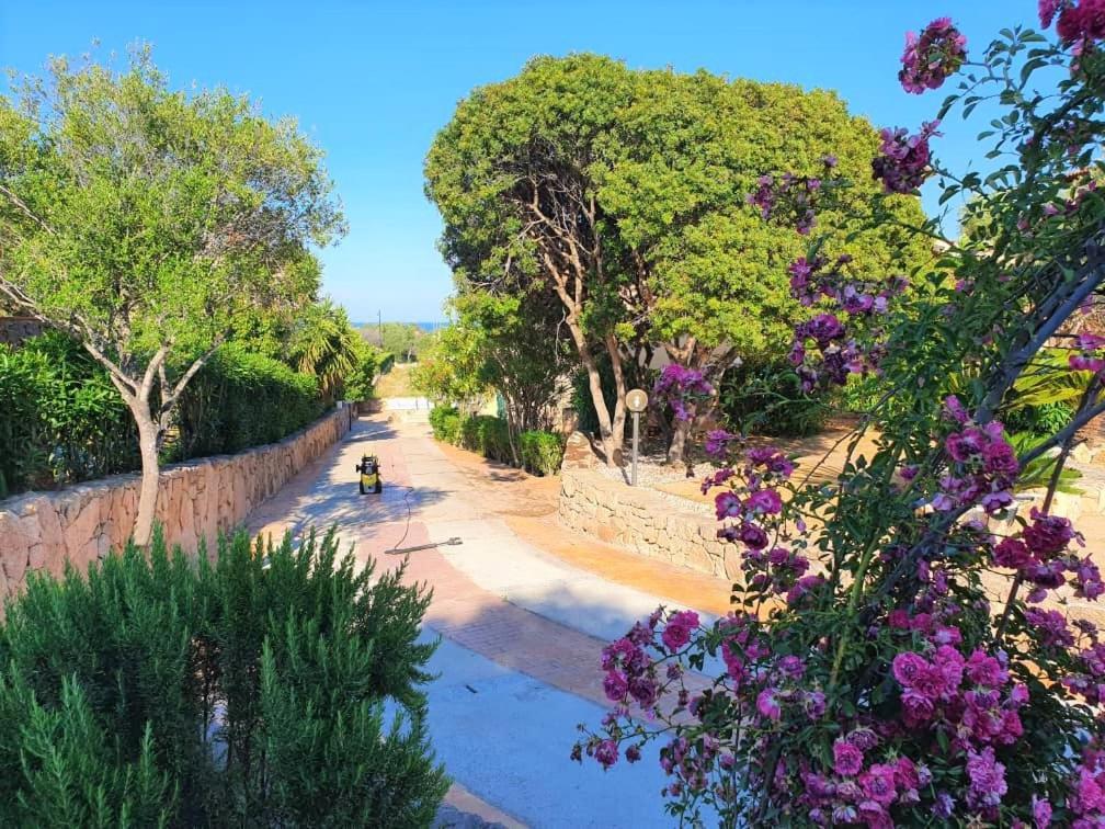 Villa Saba Olbia Exterior photo