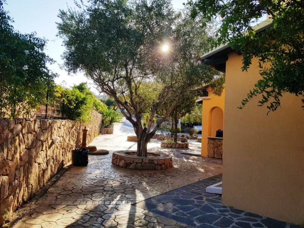Villa Saba Olbia Exterior photo